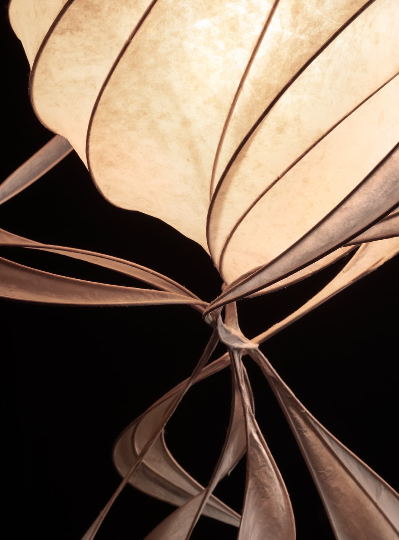 Arabesque thumbnail 7