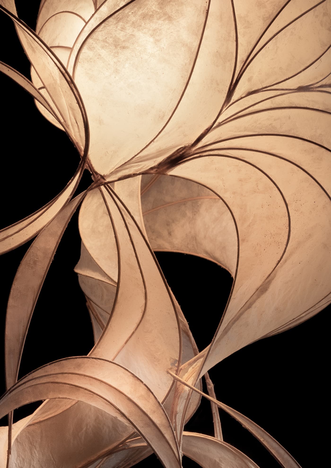 Elysium thumbnail 5