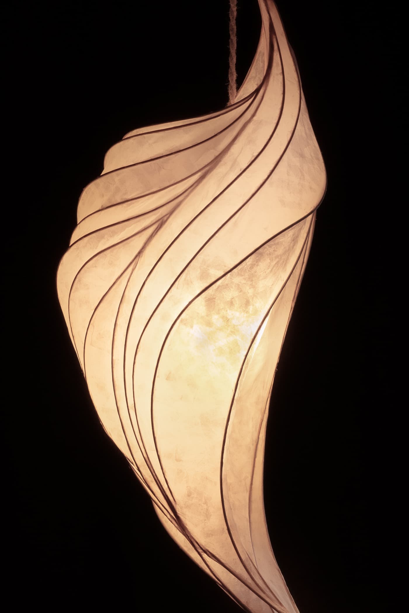 Seraph thumbnail 2